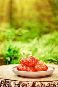 新鲜草莓在阳光明媚的花园里，新鲜水果和健康饮食的理念