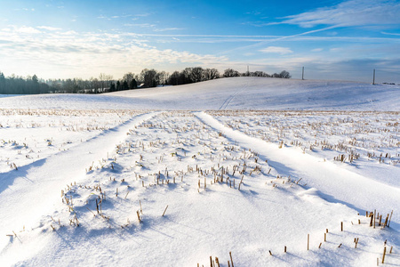 阳光明媚的冬日，空旷的乡村景观，积雪覆盖地面，抽象的背景，深邃的外观和汽车轨迹，前景的乐趣和欢乐的概念