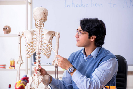 教学解剖学的年轻讲师教师图片
