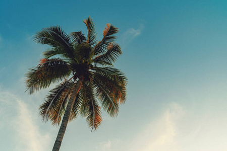 椰子棕榈树在热带海岸的岛屿海滩与老式色调。