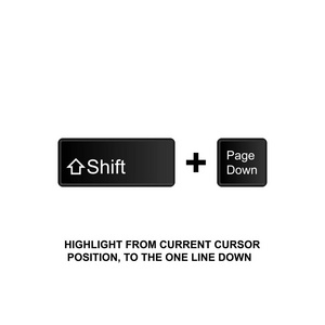 键盘快捷键突出显示从当前光标位置到一行向下图标。 可用于网页标志，移动应用程序，UI，UX在白色背景