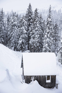 山里的雪屋