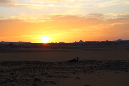 沙漠中美丽的风景日出