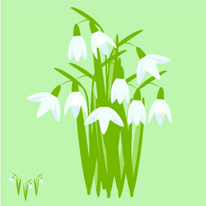 雪花。 白色的春天花，绿色的背景上的绿叶。 平面设计元素股票矢量插图网页印刷