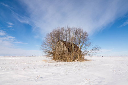 孤立的谷仓和树木在雪覆盖的田野中间，在一个零下的冬天。