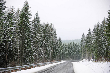 美丽的风景，有针叶林和道路，雪冬天