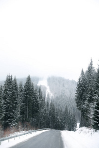 美丽的风景，有针叶林和道路，雪冬天