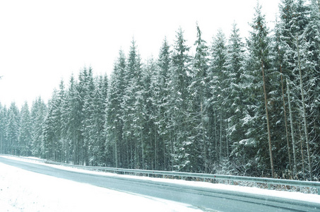 美丽的风景，有针叶林和道路，雪冬天
