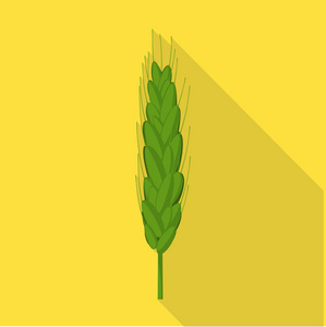 小麦和玉米图标的矢量图。 收集小麦
