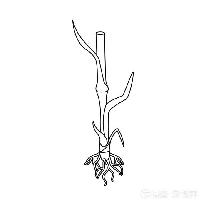 网络小麦和收获股票符号集插画-正版商用图片17jzqt-摄图新视界