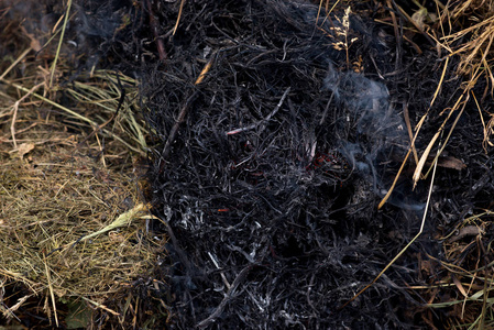 炽热的橙色和红色的余烬纹理. 黑暗的背景.