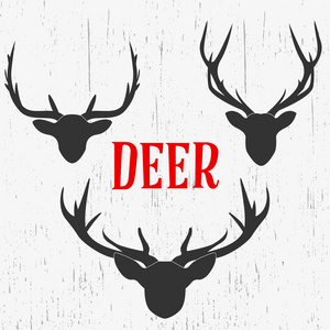 鹿, 项目的标志元素, 狩猎和与动物同行