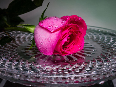 带水滴的水晶托盘上的红色玫瑰。 爱情之花。 桌子上的花。
