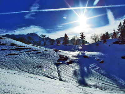 瑞士阿尔卑斯山阿彭策尔奥塞尔罗登州冬季光影游戏