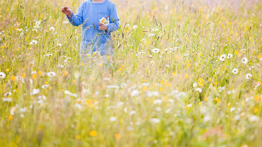 在阳光明媚的天气里，男孩在草地上为他的母亲收集一束鲜花