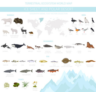 冰原和极地沙漠生物群落。 陆地生态系统世界地图。 北极动物鸟类鱼类和植物的信息设计。 矢量插图