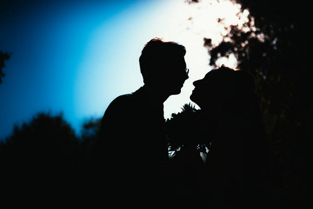 新娘和新郎在天空公园的背景上剪影。