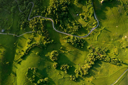 美丽的山区景观，弗赖亚绿色植被，杜梅蒂阿尔巴县，罗马尼亚鸟瞰。