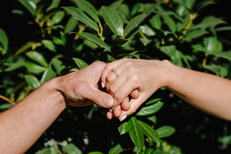 牵手到白头图片