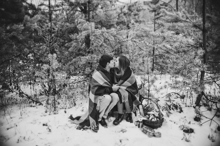 一对年轻夫妇在雪地公园野餐的画像