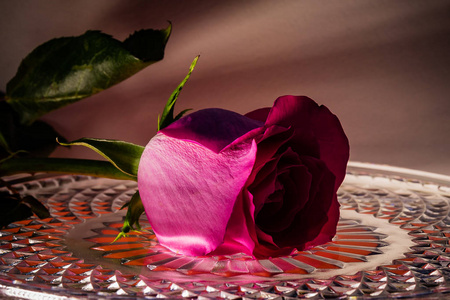红色玫瑰在一个带有水滴的水晶托盘上。爱情之花。桌子上的花。