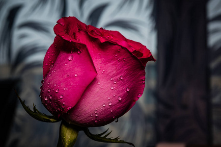 红色玫瑰在一个带有水滴的水晶托盘上。爱情之花。桌子上的花。