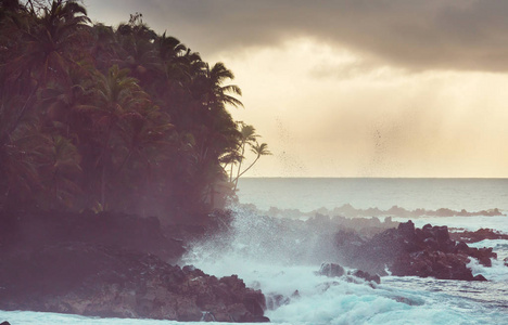 夏威夷火山海岸自然风景图片