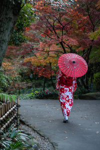 秋天在名古屋的Tokugawa公园。