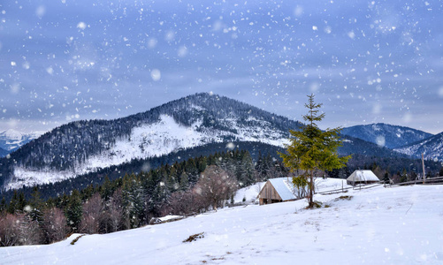 美丽的山景。 降雪的冬季景观。 喀乌克兰欧洲