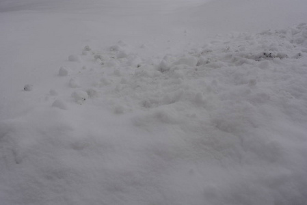 雪切成明亮的白色蓬松的雪。 寒冷的天气冬天一月