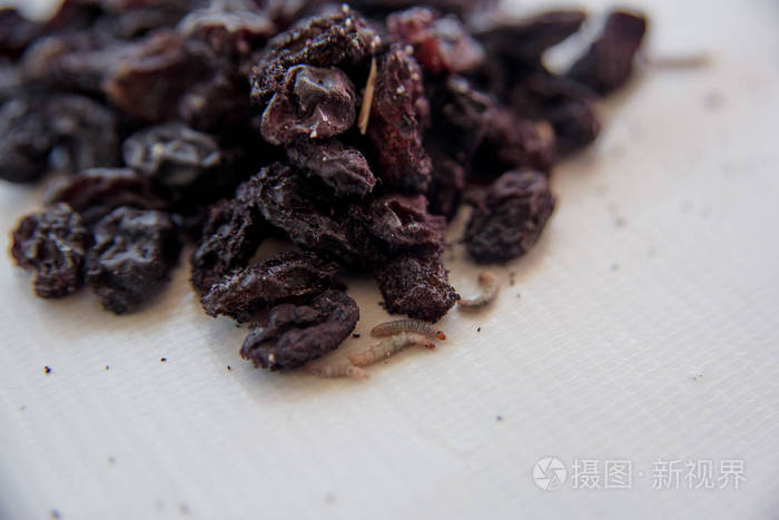 白色背景上缺少葡萄干在浅色背景下腐烂的干果白虫深色干燥葡萄上的