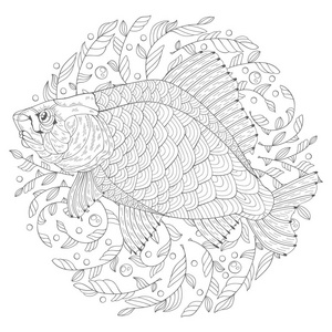 手绘装饰卡通鲫鱼在白色背景上与藻类. 成人和儿童着色书的图像.