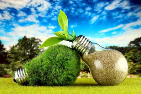 绿色生态灯泡与草植物生长在灯泡和蓝天背景. 可再生能源概念.照片