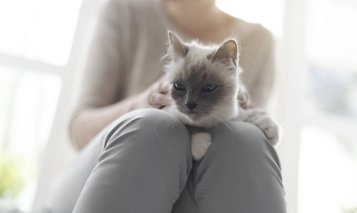 女人抱着漂亮的猫在她的大腿宠物和生活方式的概念