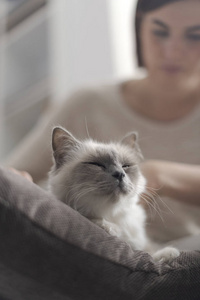 一个年轻的女人在家里抚摸她漂亮的猫，她躺在垫子上