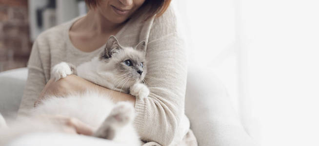 猫女年轻快乐的女人坐在客厅的扶手椅上,抚摸美丽的猫照片