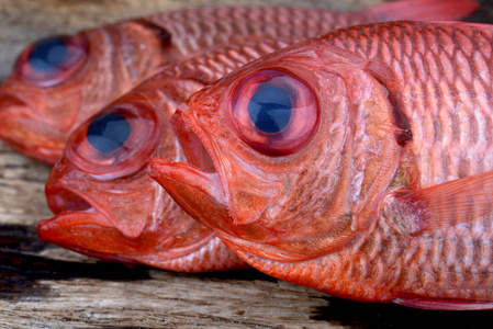 新鲜的皮涅酮士兵鱼烹饪从亚洲渔业市场照片在白天显示大眼睛和粉红色的鳞片。