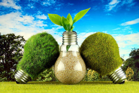 绿色生态灯泡与草植物生长在灯泡和蓝天背景。 可再生能源概念。
