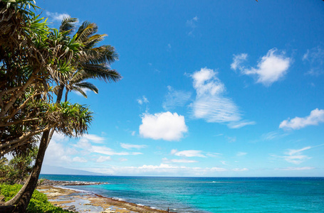 令人惊叹的夏威夷海滩自然风景