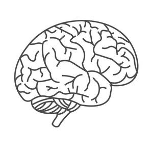 在白色背景上的黑线的人的脑子脑子图照片