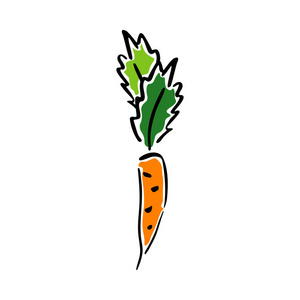 胡萝卜粗体向量图片