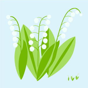 山谷里的百合花图片