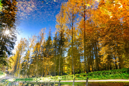 s pond. Autumn on a sunny day in golden tones with blue sky. Pav