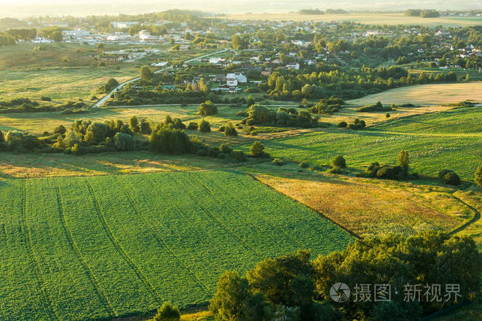 夏季景观从一个高度拍摄. 绿田和森林