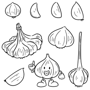 手绘装饰大蒜图片-手绘装饰大蒜素材-手绘装饰大蒜插画-摄图新视界