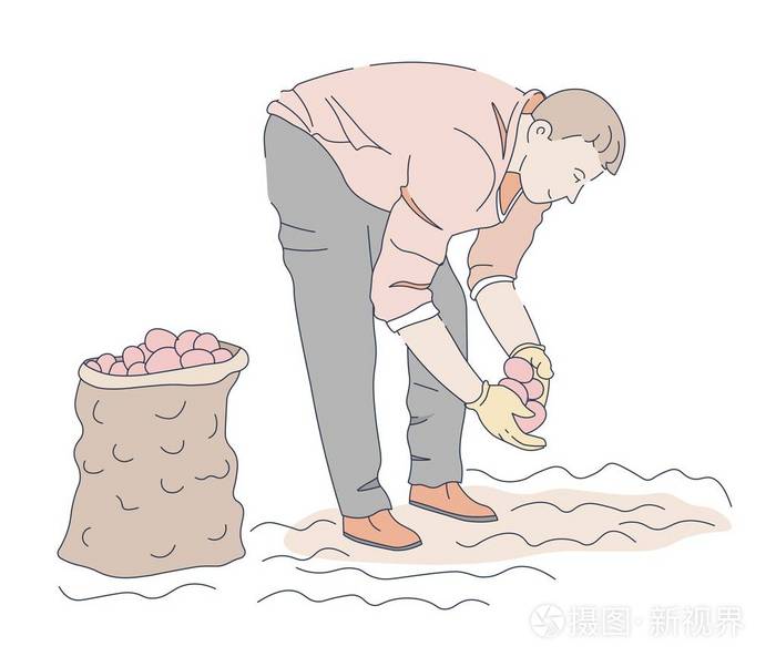 男人在农场种植土豆,矢量
