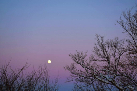满月。美丽的冬季景观。夜空中的月亮。