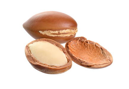 摩洛哥阿甘果图片