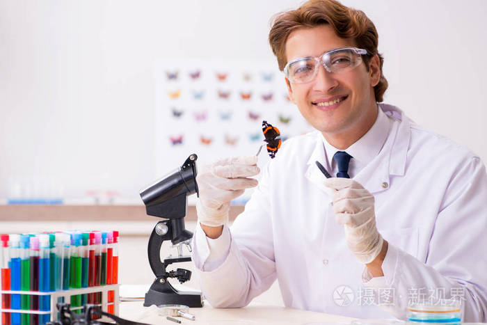 研究新蝴蝶种类的科学家昆虫学家