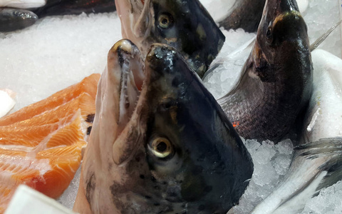 鱼市里的鲑鱼头在冰上